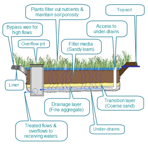 Bio-filtration cell cross section