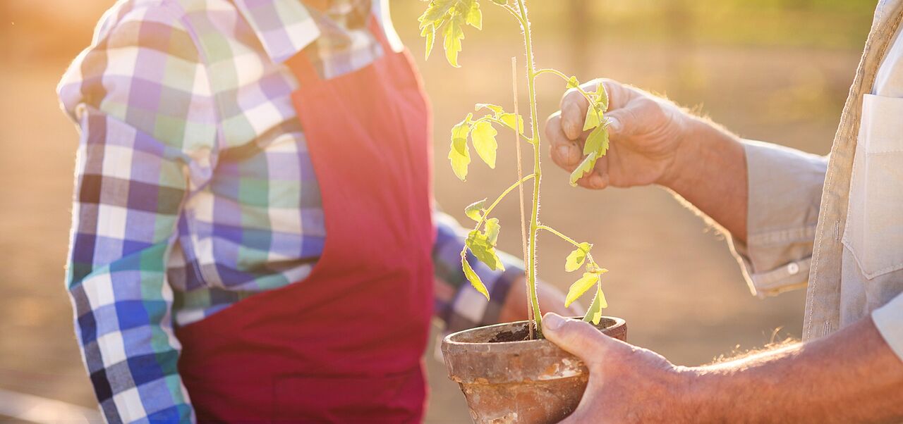 Gardening workshops city of salisbury